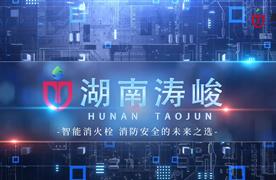 湖南濤峻 | 為消火栓裝上“智慧大腦”，守護城市安全！